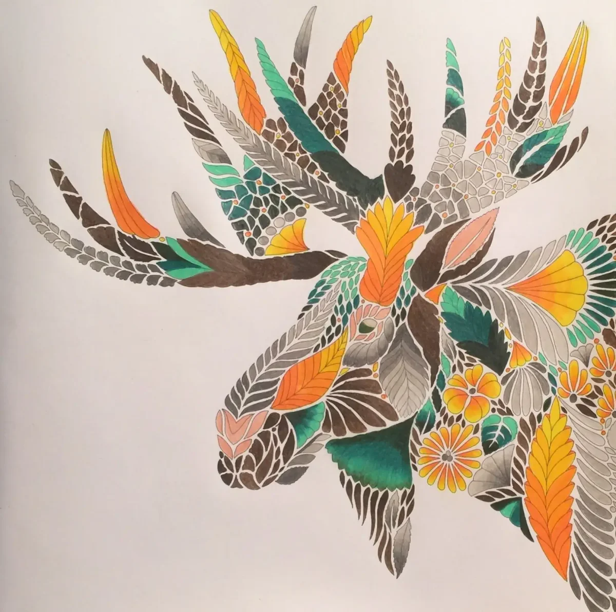 Раскраски книги Милли Маротта