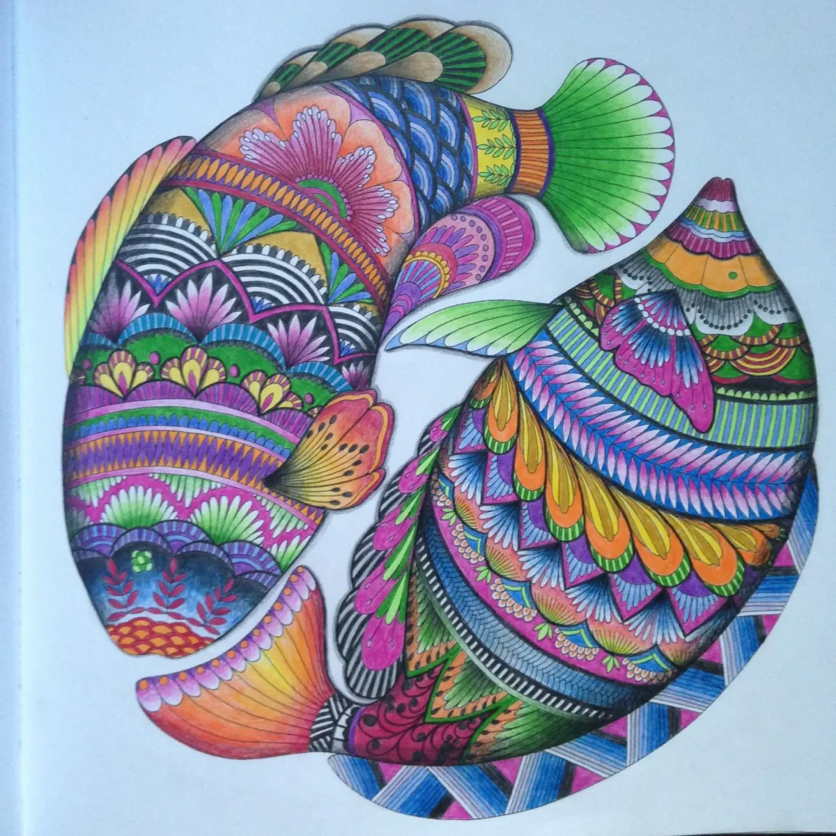 Раскраски миллион единорогов Милли Маротта