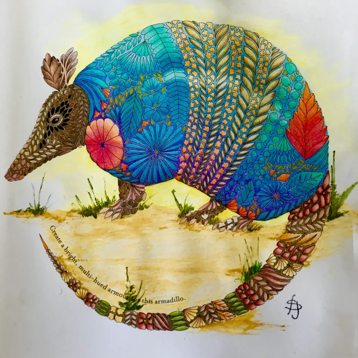 Милли Маротта в царстве животных Раскрашенная