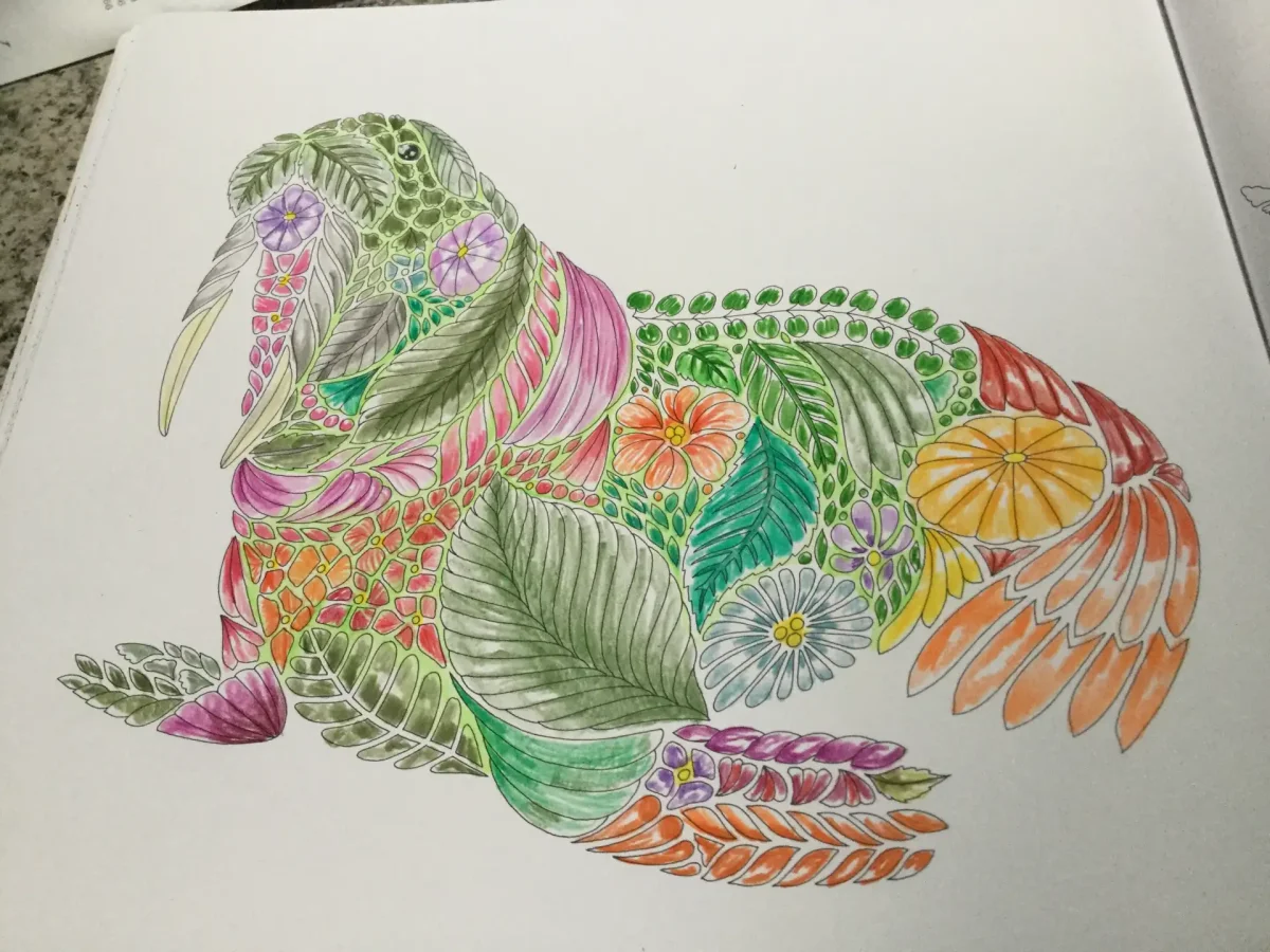 Милли Маротта чудеса природы Золотая коллекция любимых иллюстраций