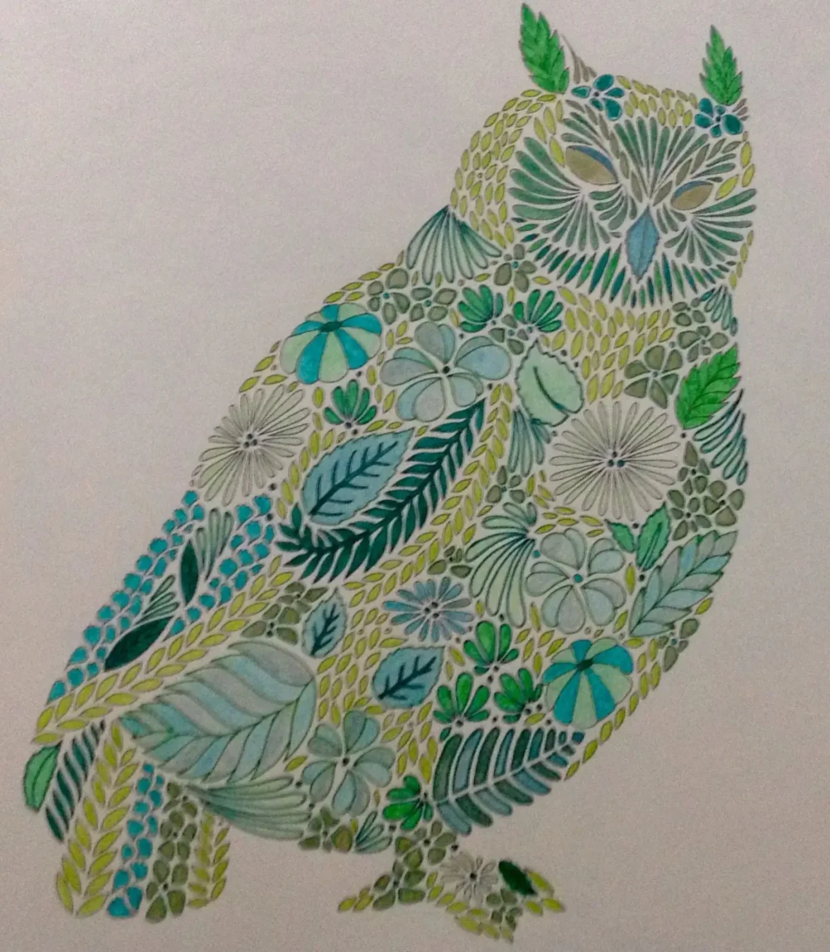 Милли Маротта акула