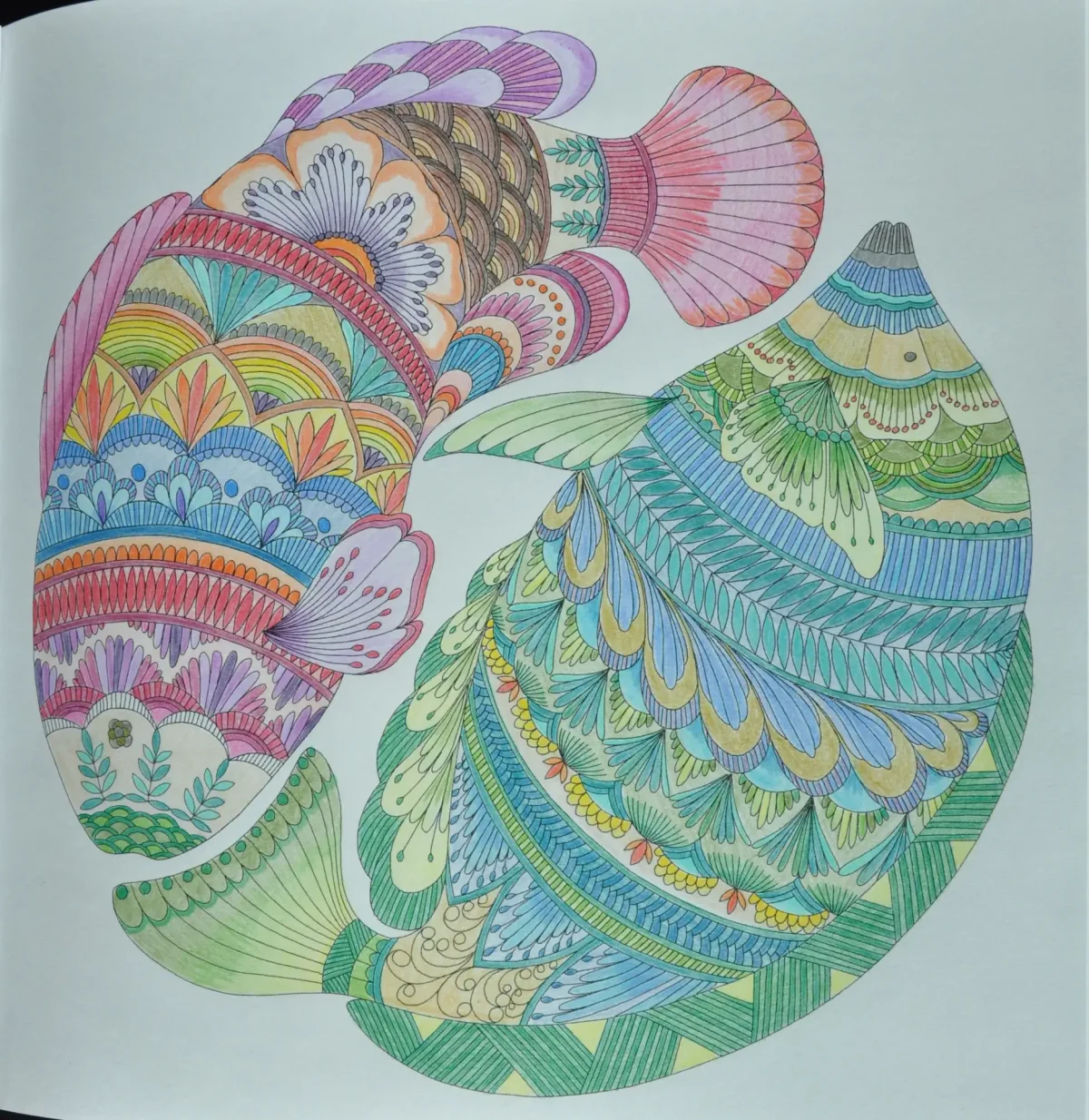 Милли Маротта в царстве животных