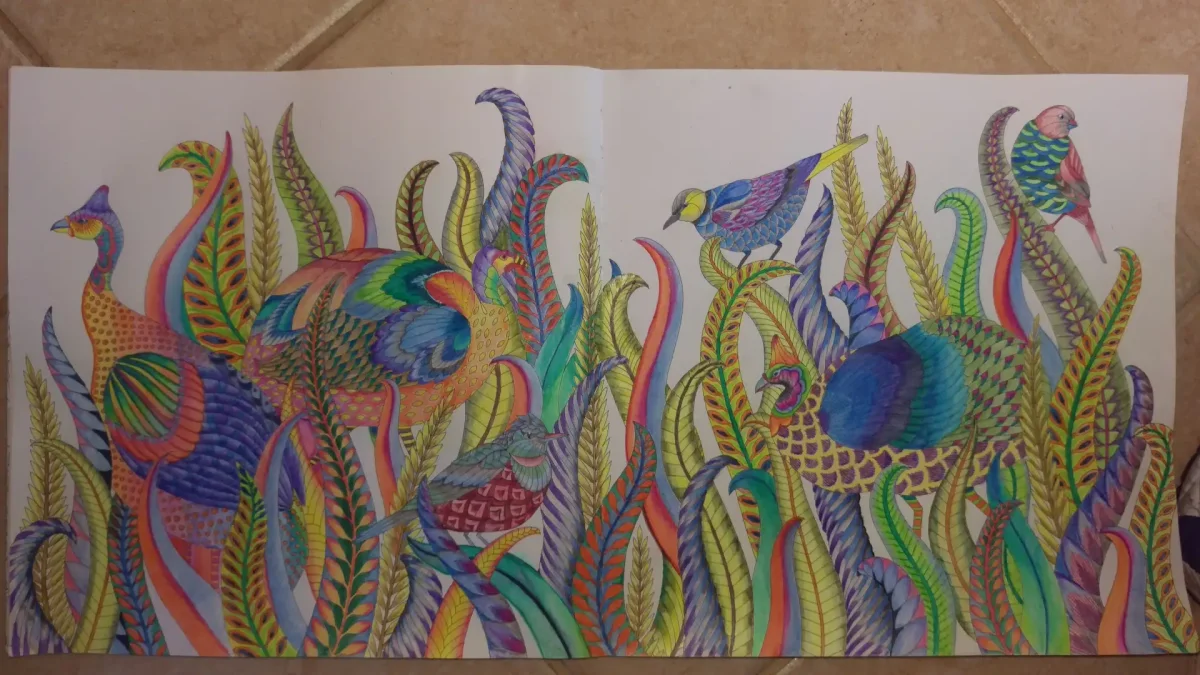 Millie Marrotta colouring Pages for Adults