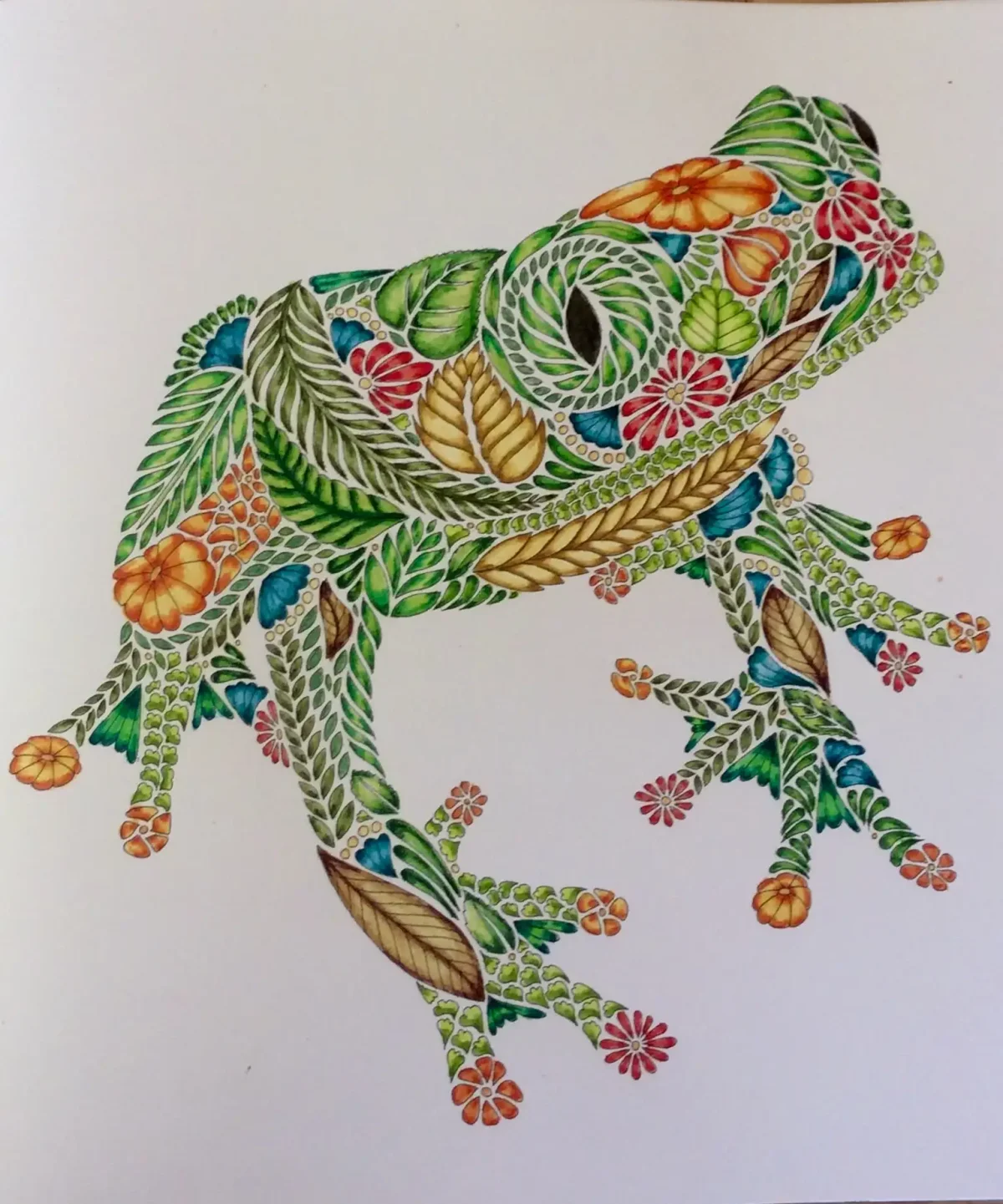 Милли Маротта в царстве животных Раскрашенная