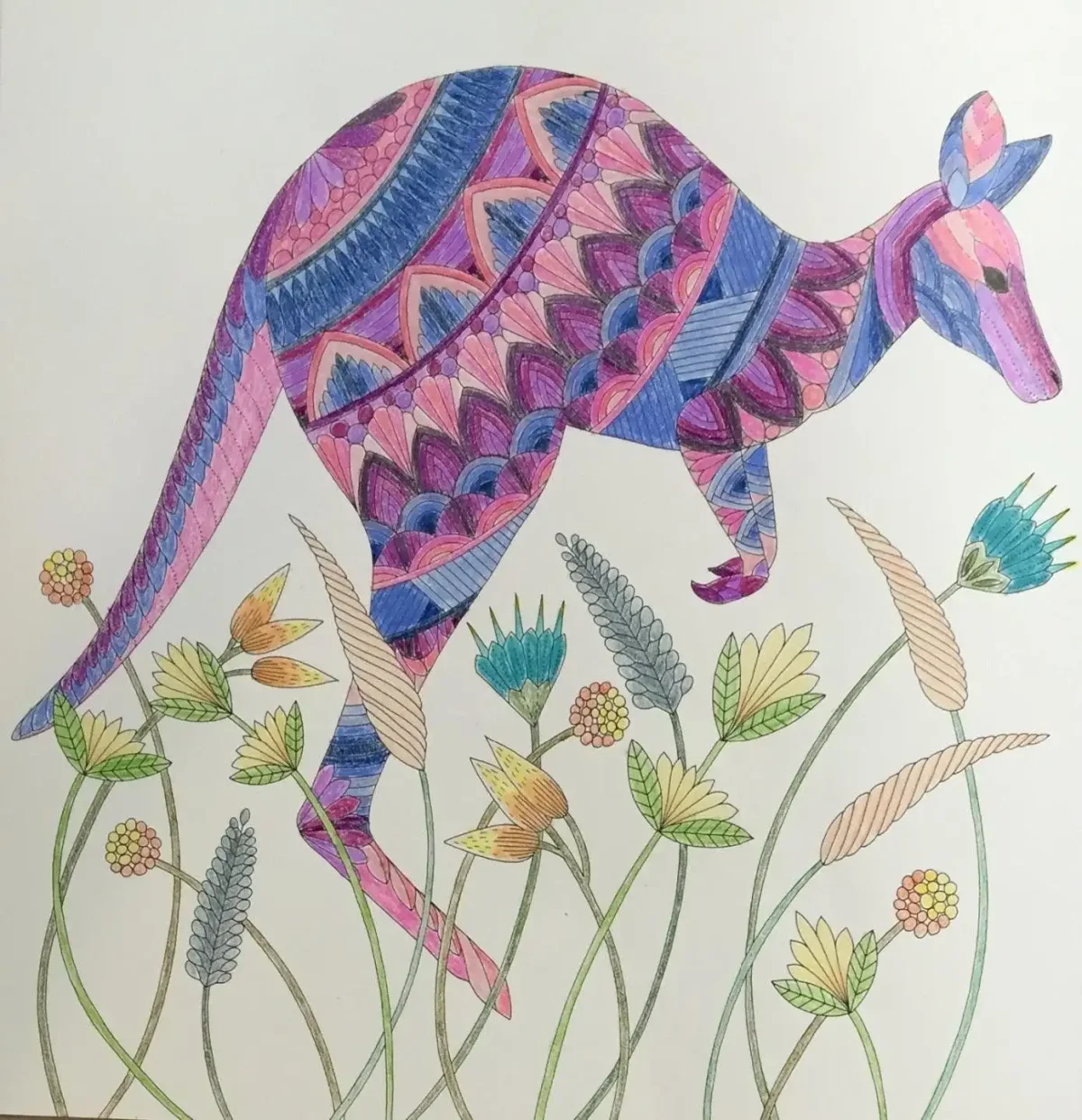 Милли Маротта в стране чудес Раскрашенные рисунки кактусы