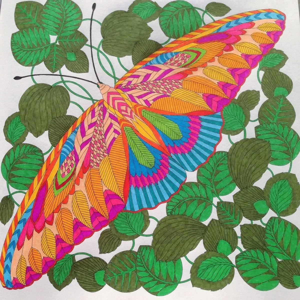 Милли Маротта