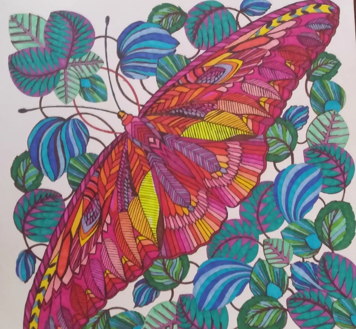 Милли Маротта Раскрашенные