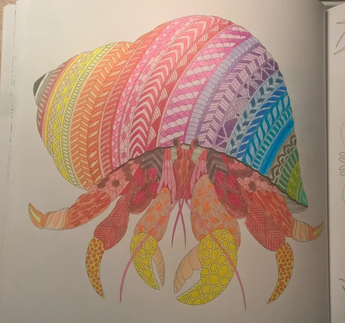 Раскраска чудеса природы от Милли Маротта