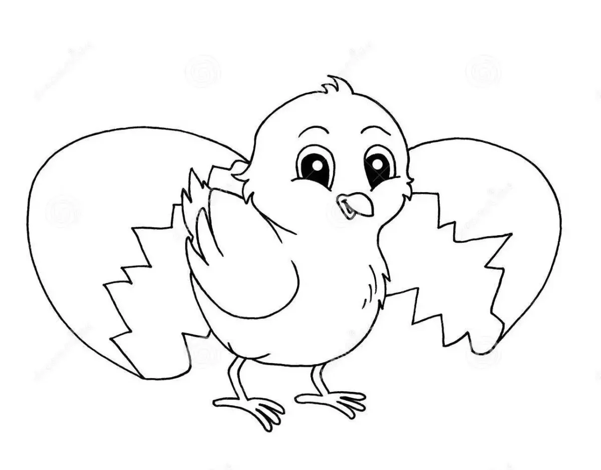 Цыпленок раскраска для детей