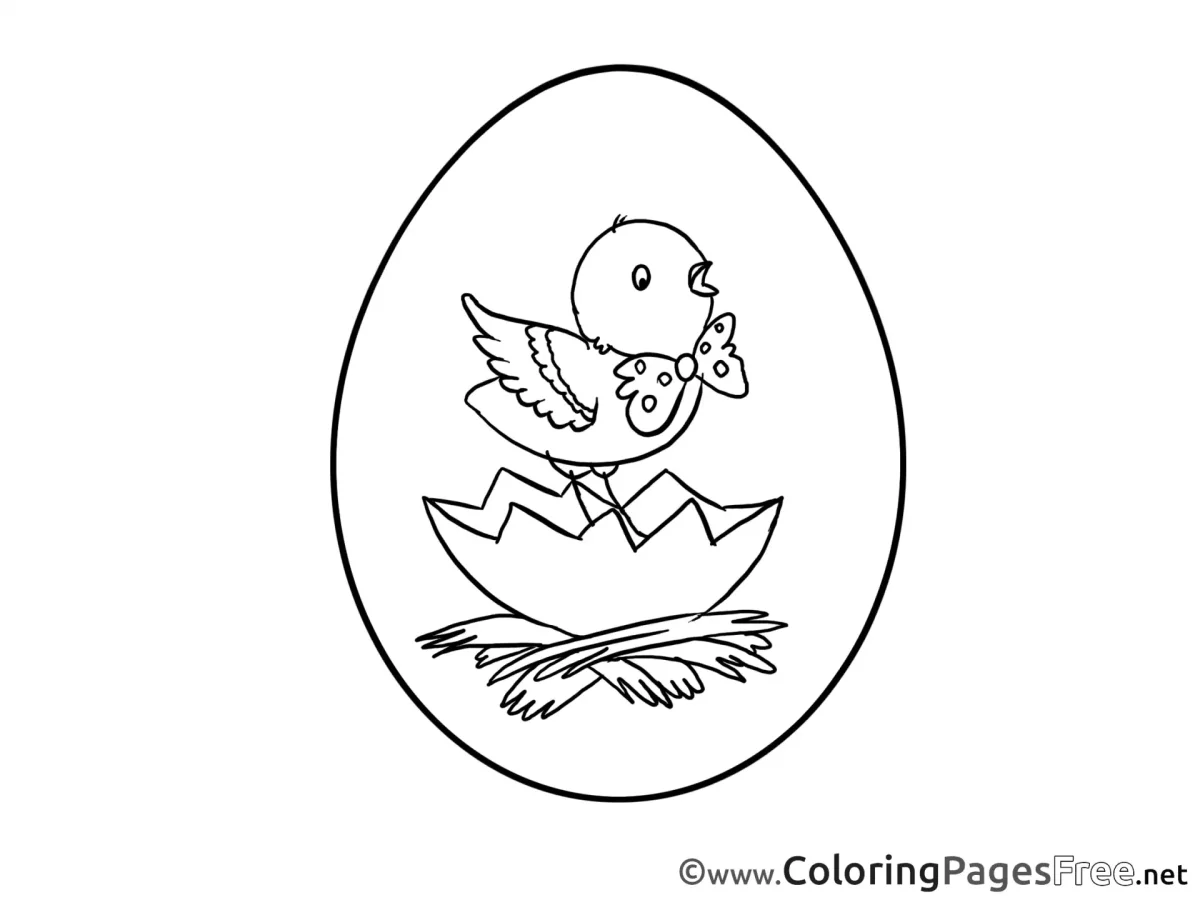 Раскраска цыпленок вылупился из яйца