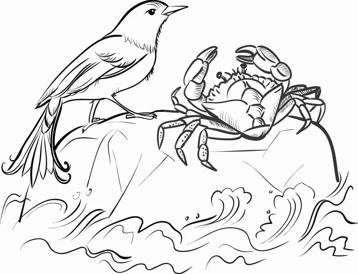 Раскраска птицы перелетные и зимующие