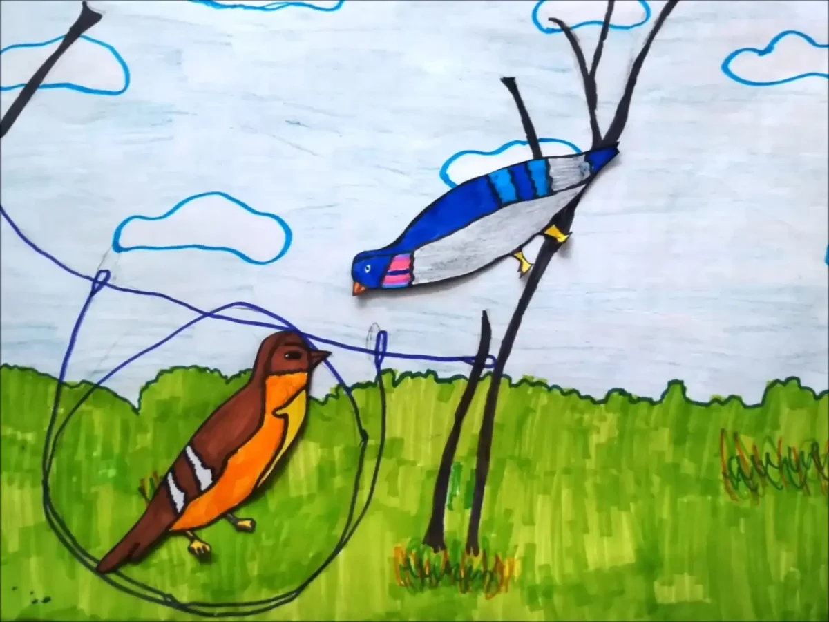 Голубь раскраска для дошкольников