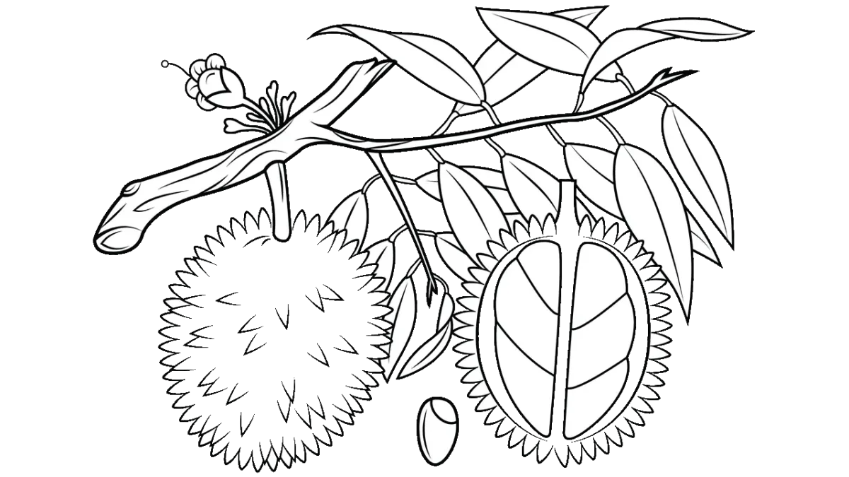 Контуры цветов для вышивки