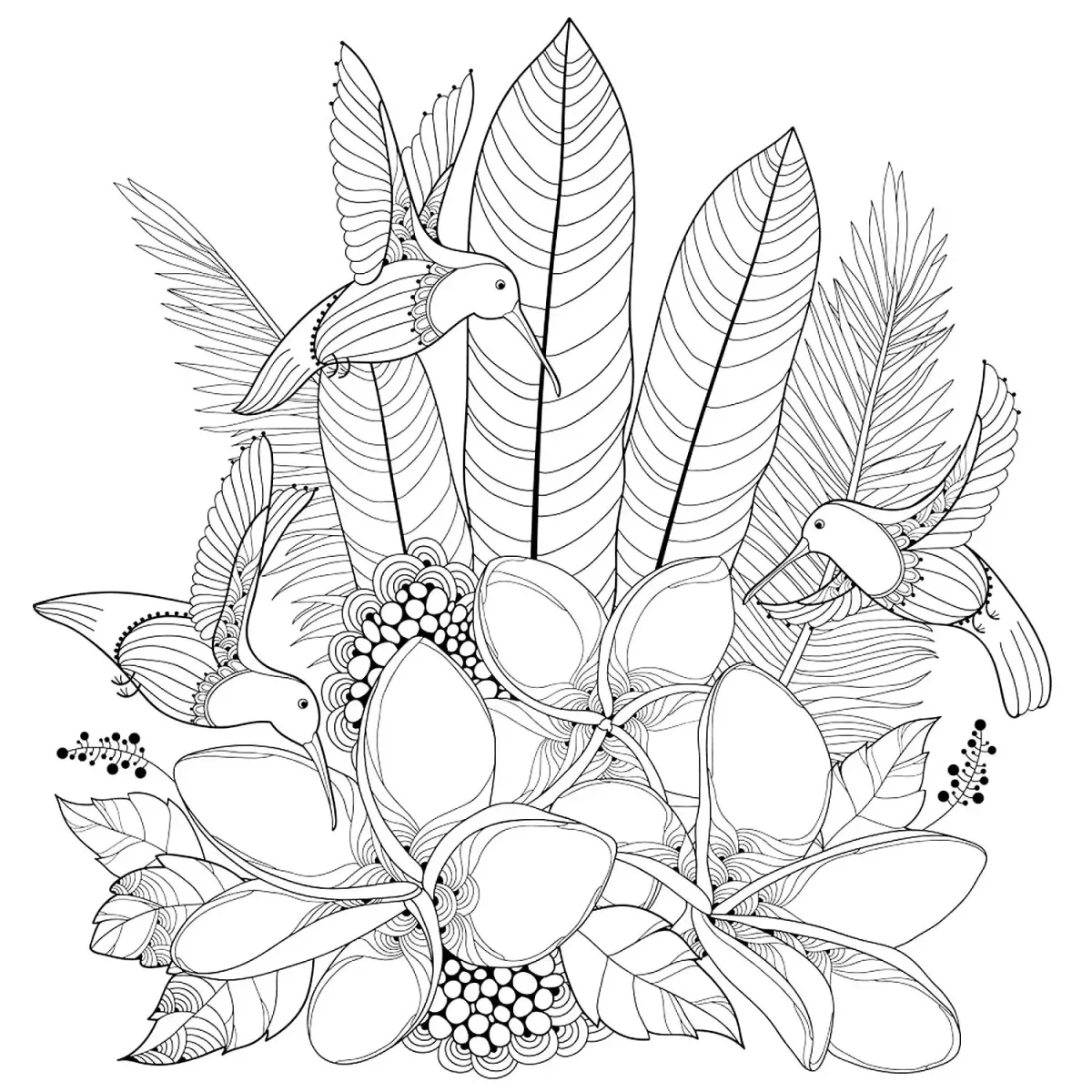 Экзотические цветы раскраска