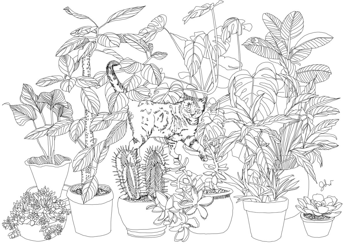 Осенние цветы раскраска