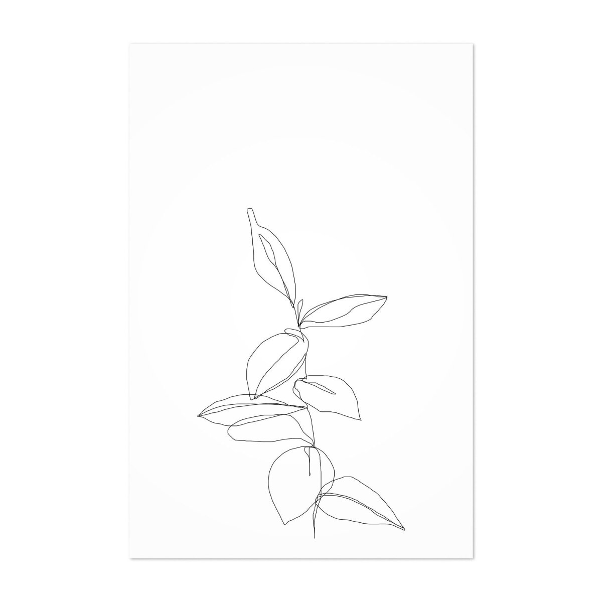 Рисование комнатные растения хлорофитум