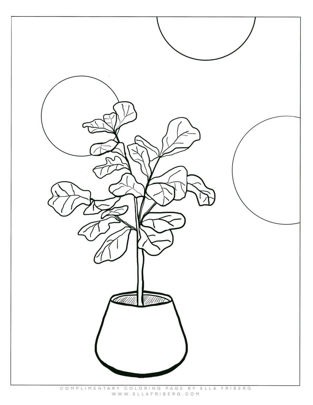 Комнатные растения рисование рука