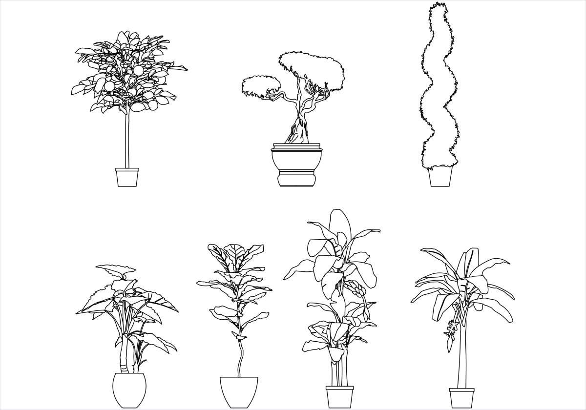 Фикус в горшке рисунок