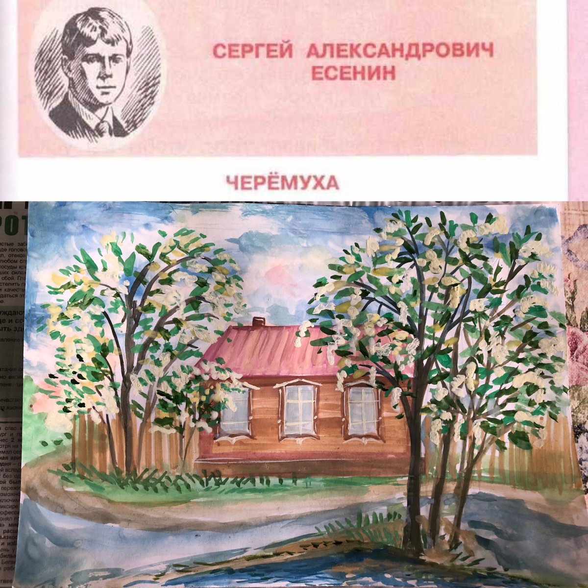 Черемуха Есенина