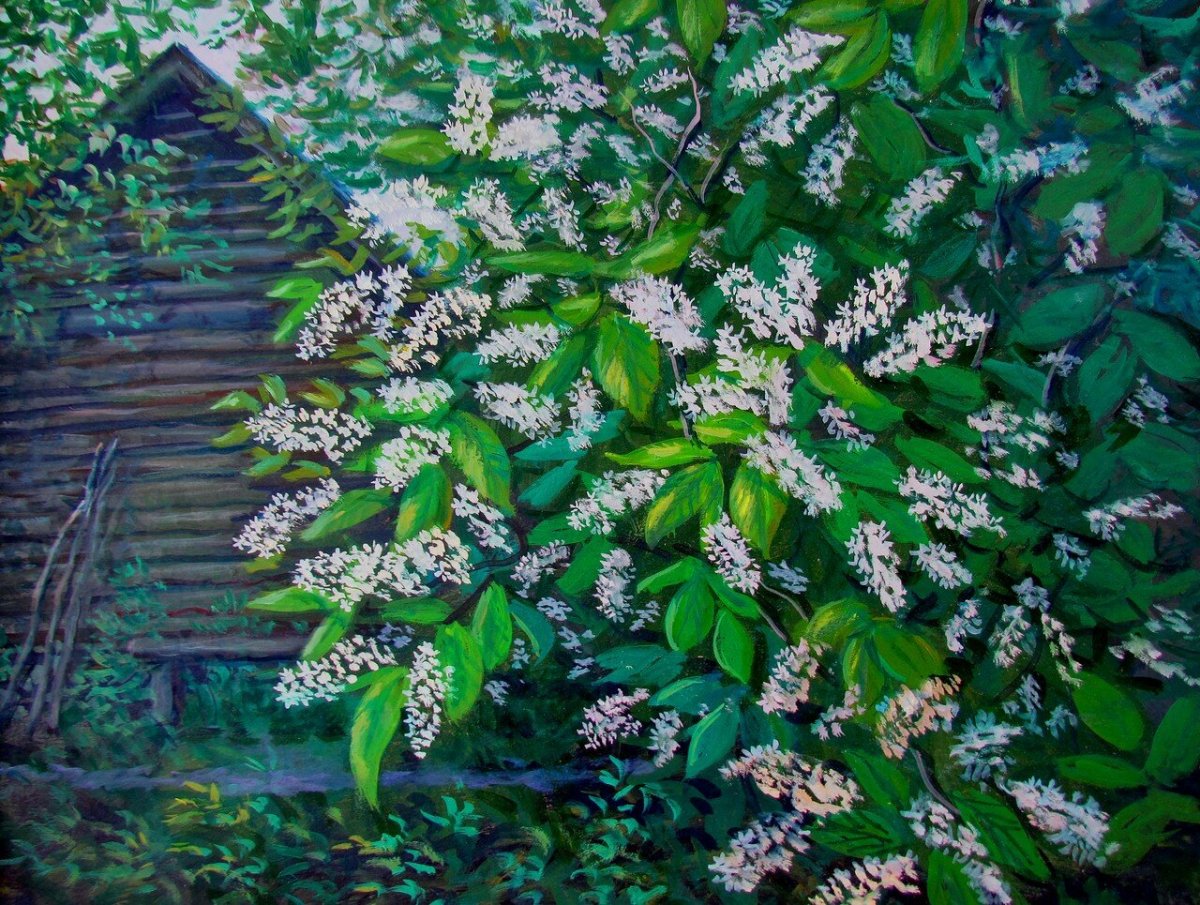 Картина Есенина черемуха