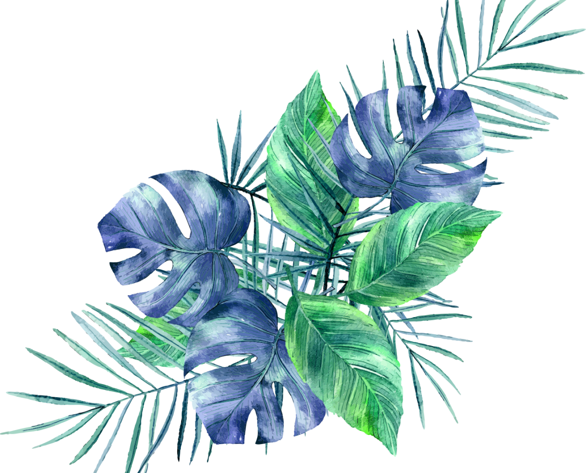 Книга синие листья