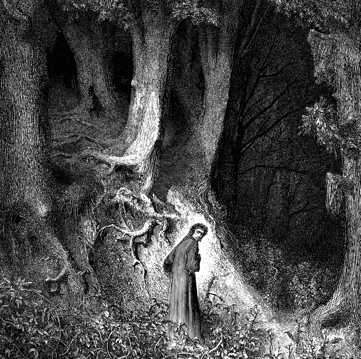 Буктрейлер к книге Мцыри