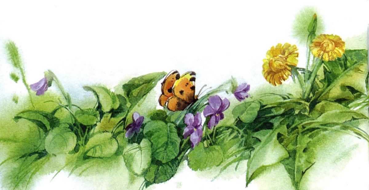 Осеева в. "синие листья"