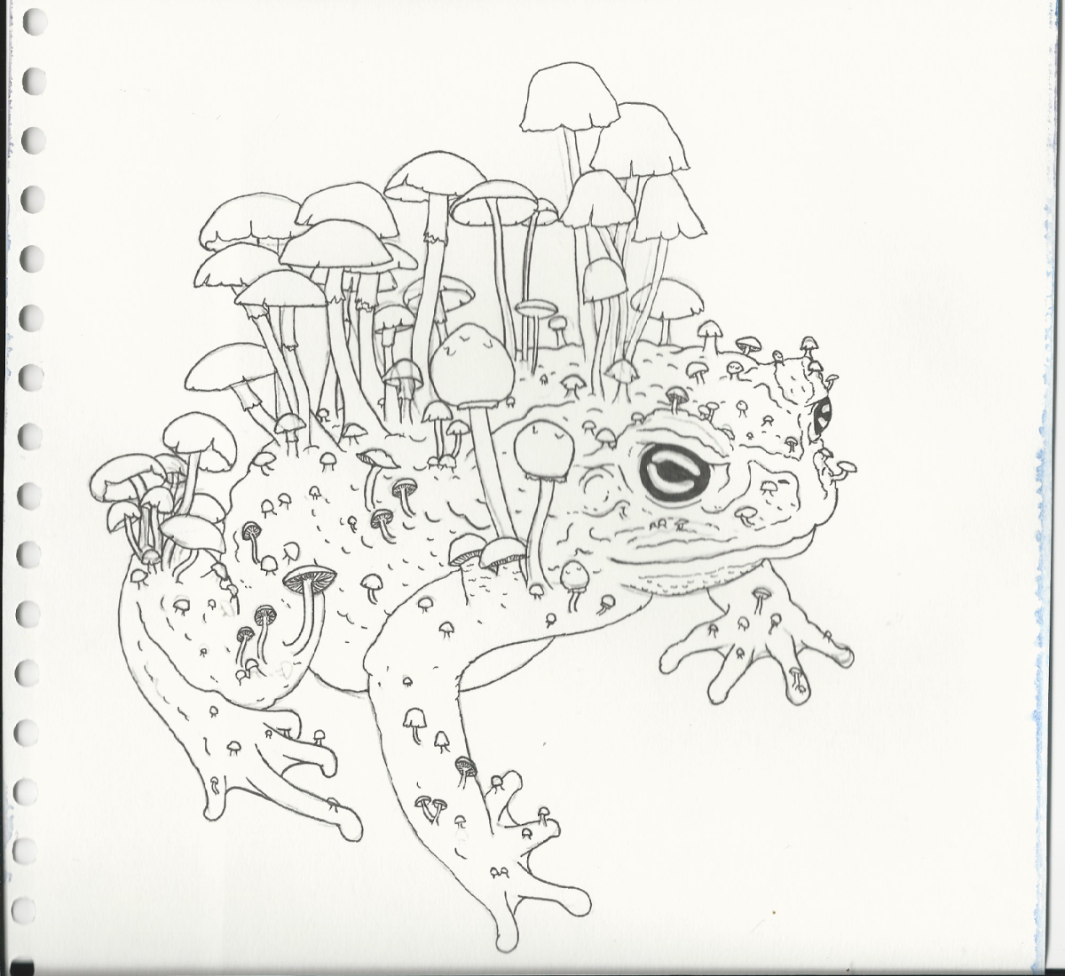 Хрупкий мир раскраска