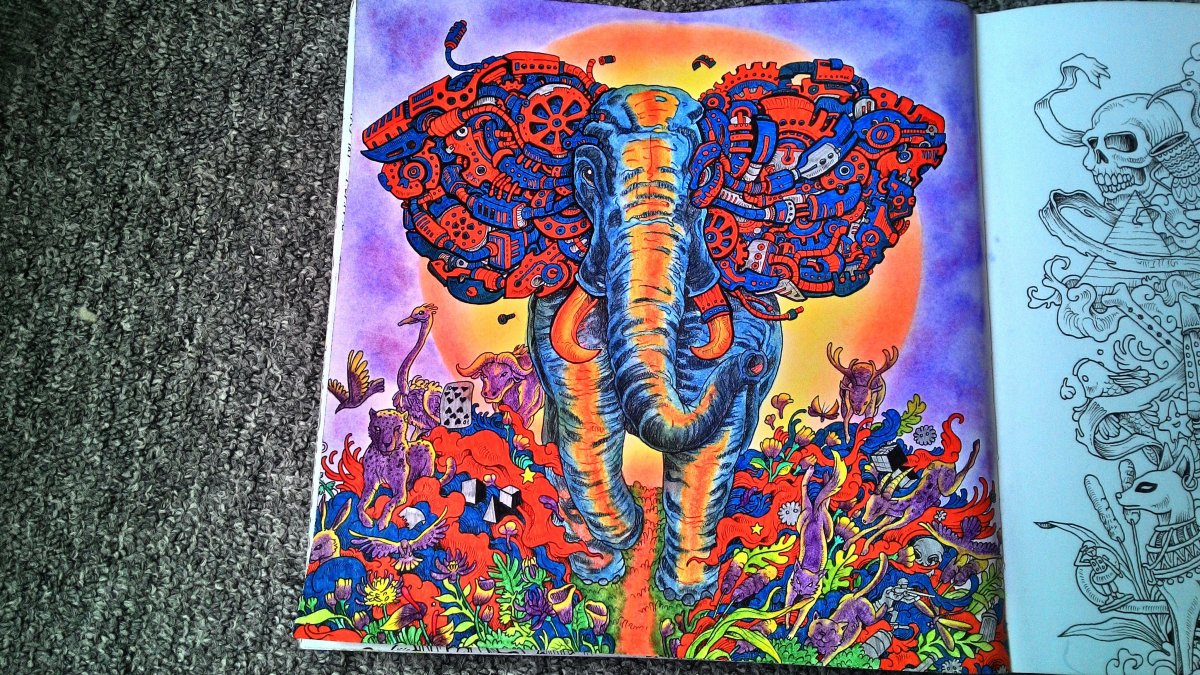 Rosanes Kerby "Imagimorphia"