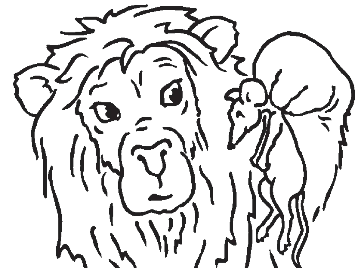 Раскраска к басне Лев и мышь