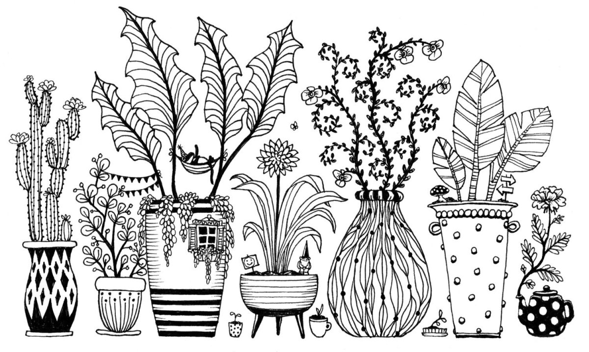 Эскиз цветочной клумбы