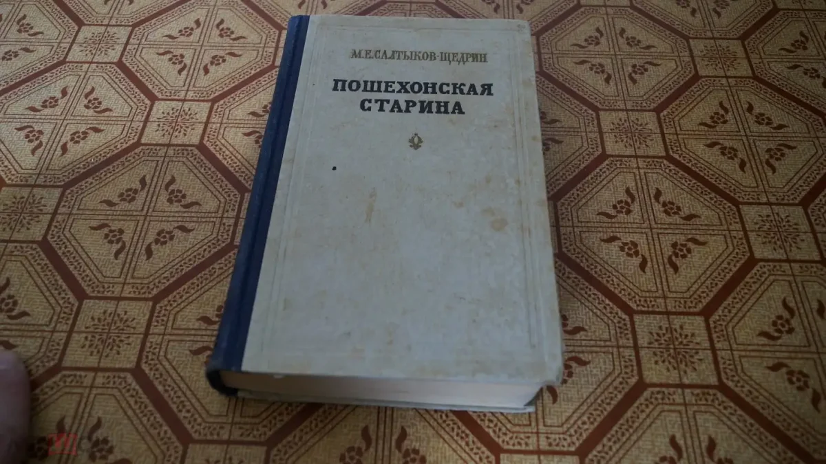 Салтыков Щедрин игра