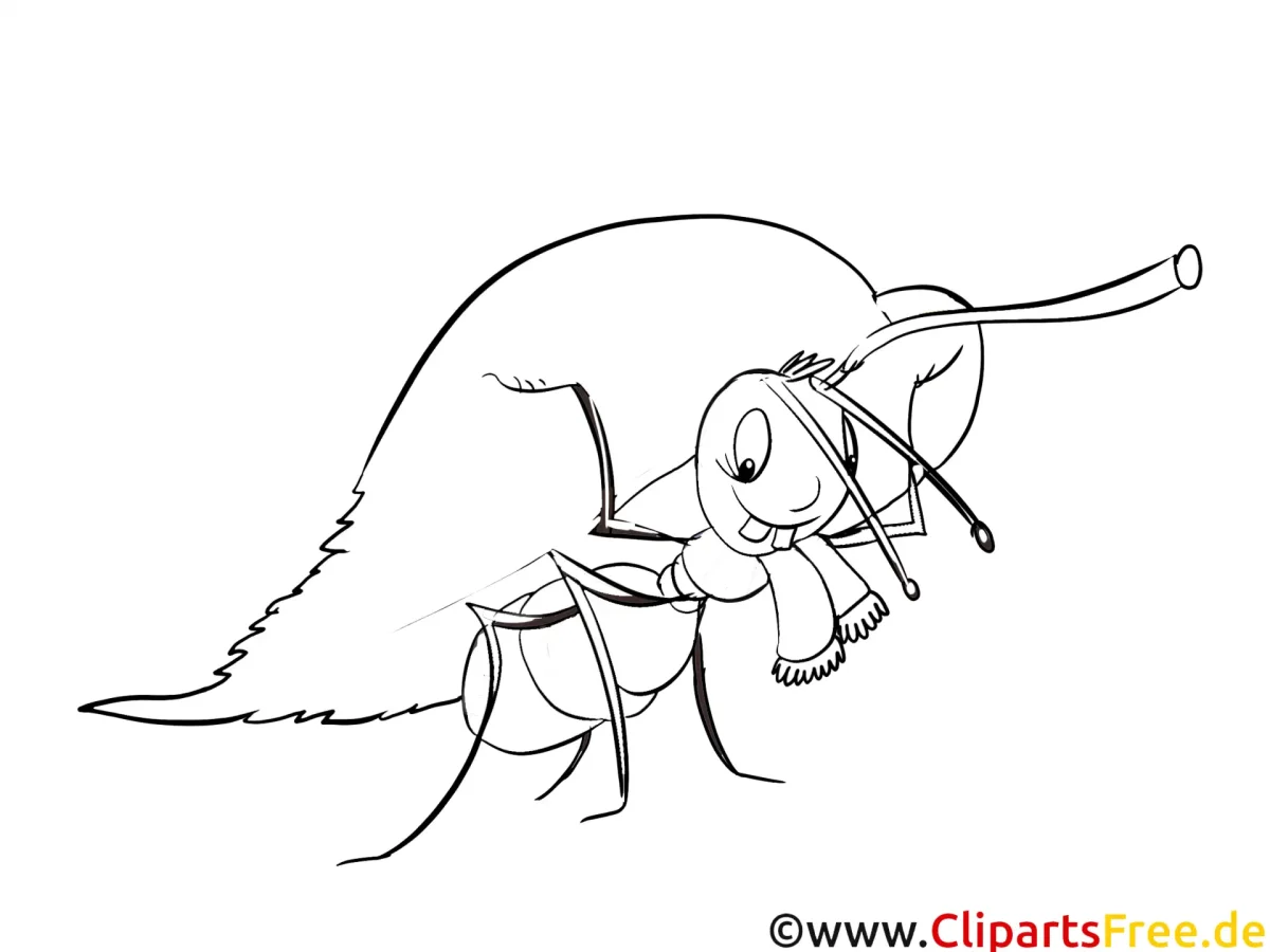 Муравей раскраска для дошкольников