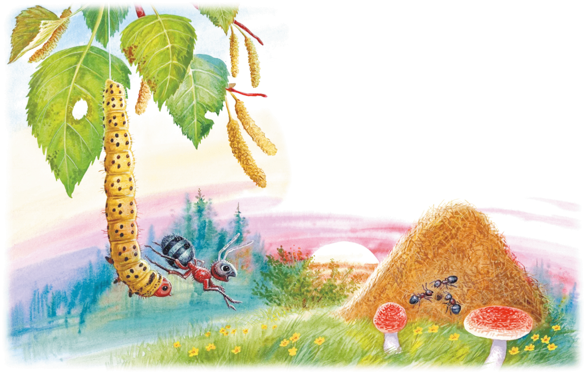 Муравей раскраска