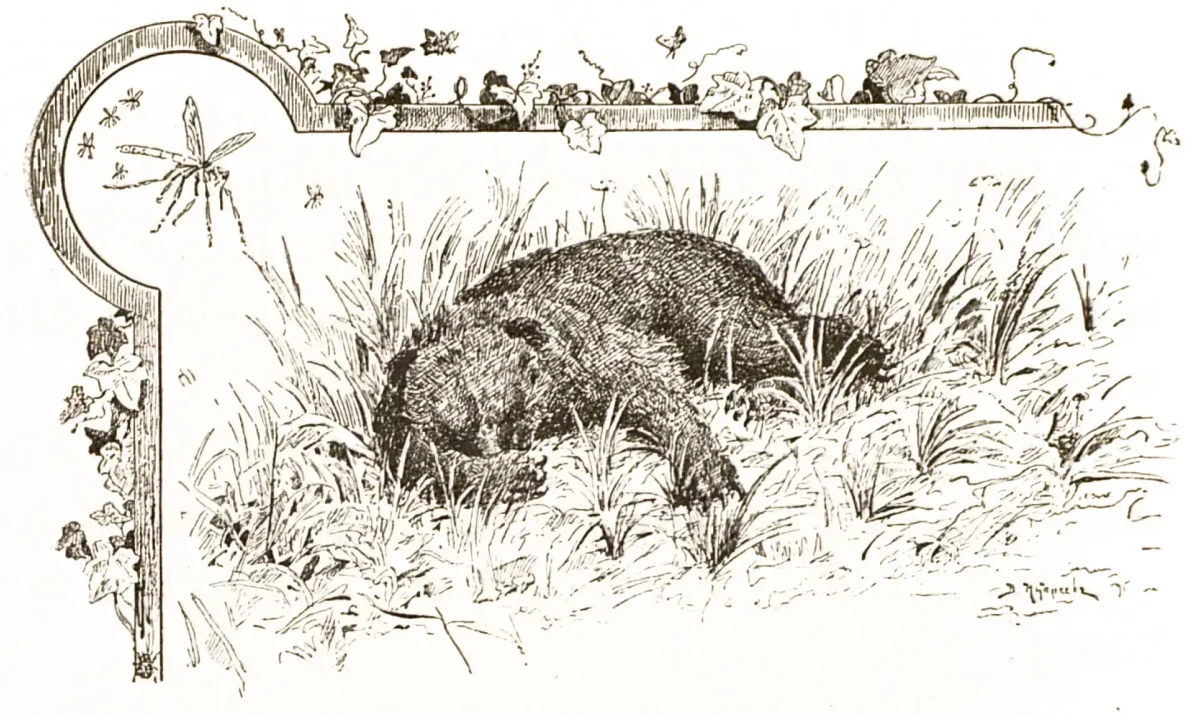 Аленушкины сказки про комара