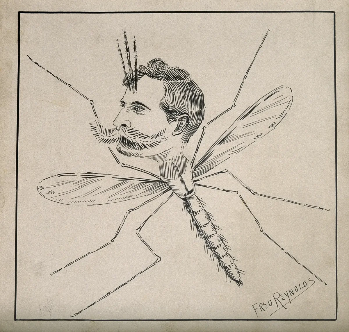 Безумный комарик