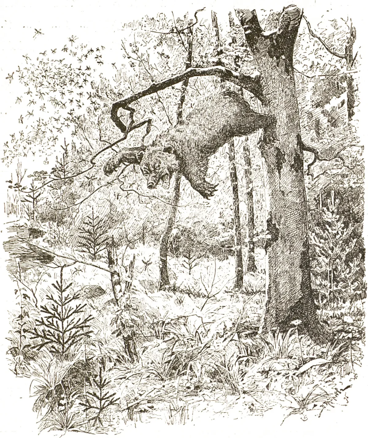 Иллюстрации к сказке Мамина Сибиряка про комара Комаровича