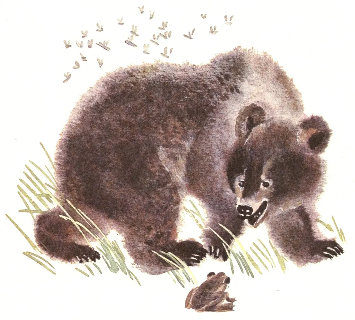 Про комара Комаровича длинный нос и про мохнатого Мишу короткий хвост