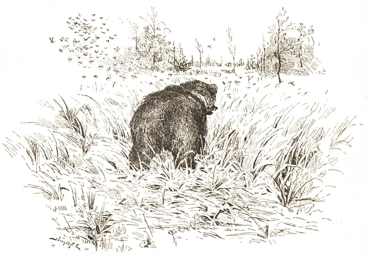 Комар Комарович мамин Сибиряк