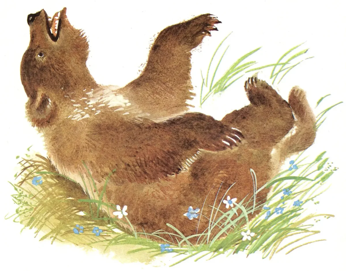 Комар Комарович мамин Сибиряк