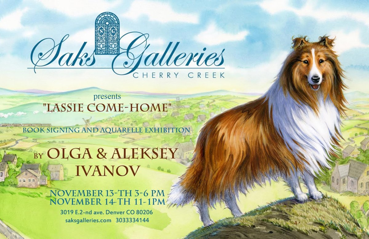 Бородатый бордер колли