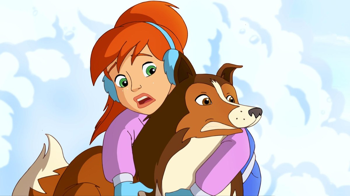 Колли порода собак