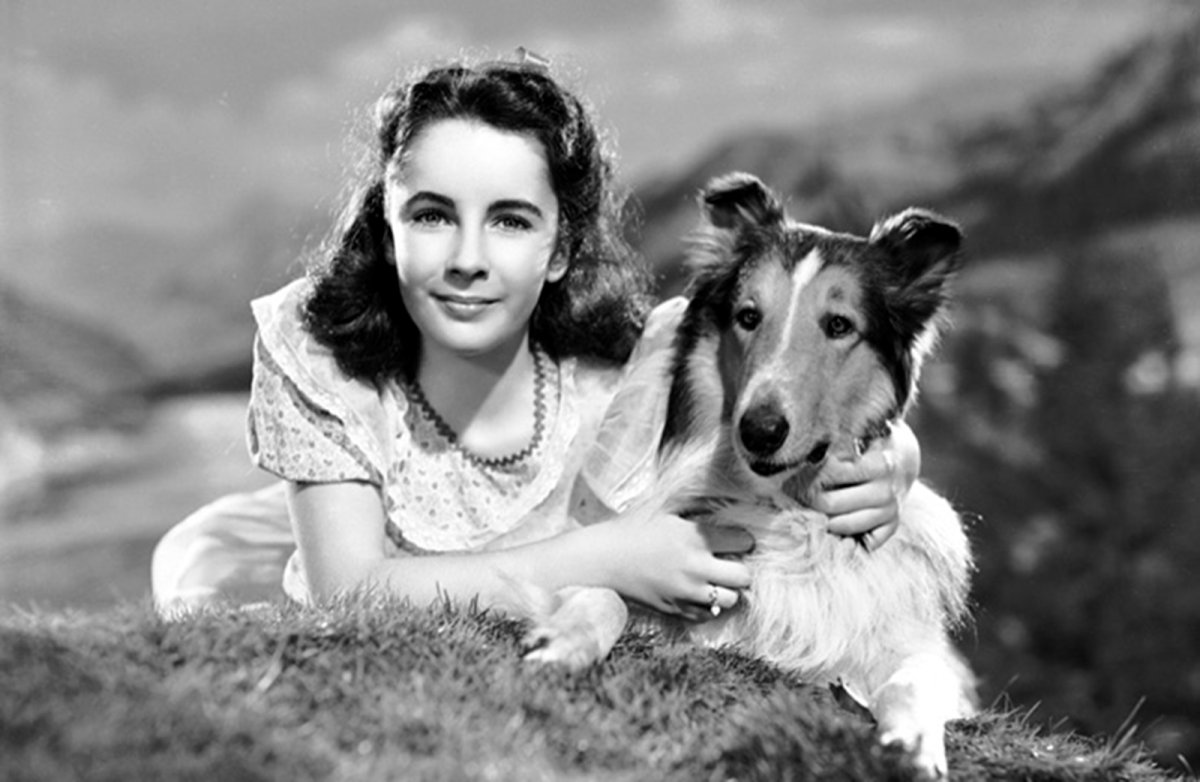 Раскраска горы