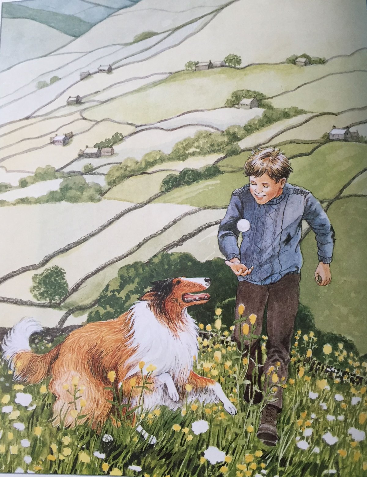 Раскраска стая Волков