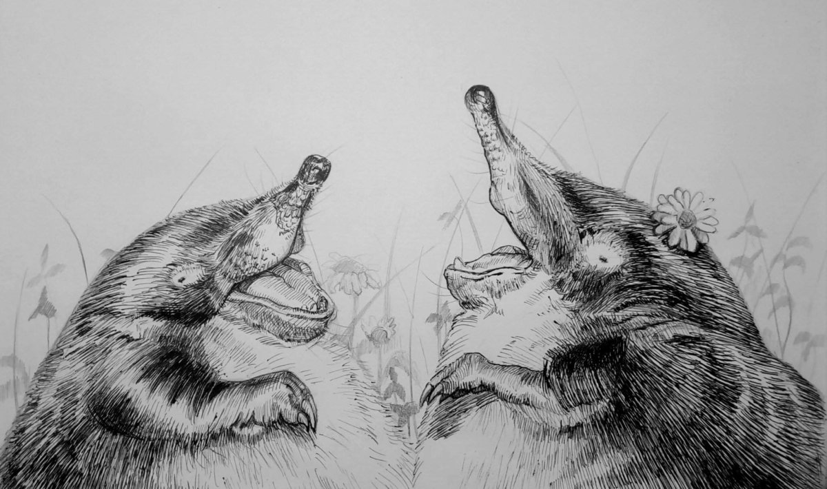 Выхухоль стикер