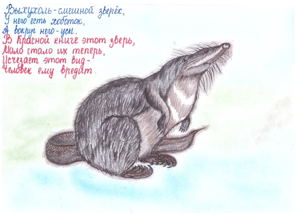 Раскраска бобровая хатка