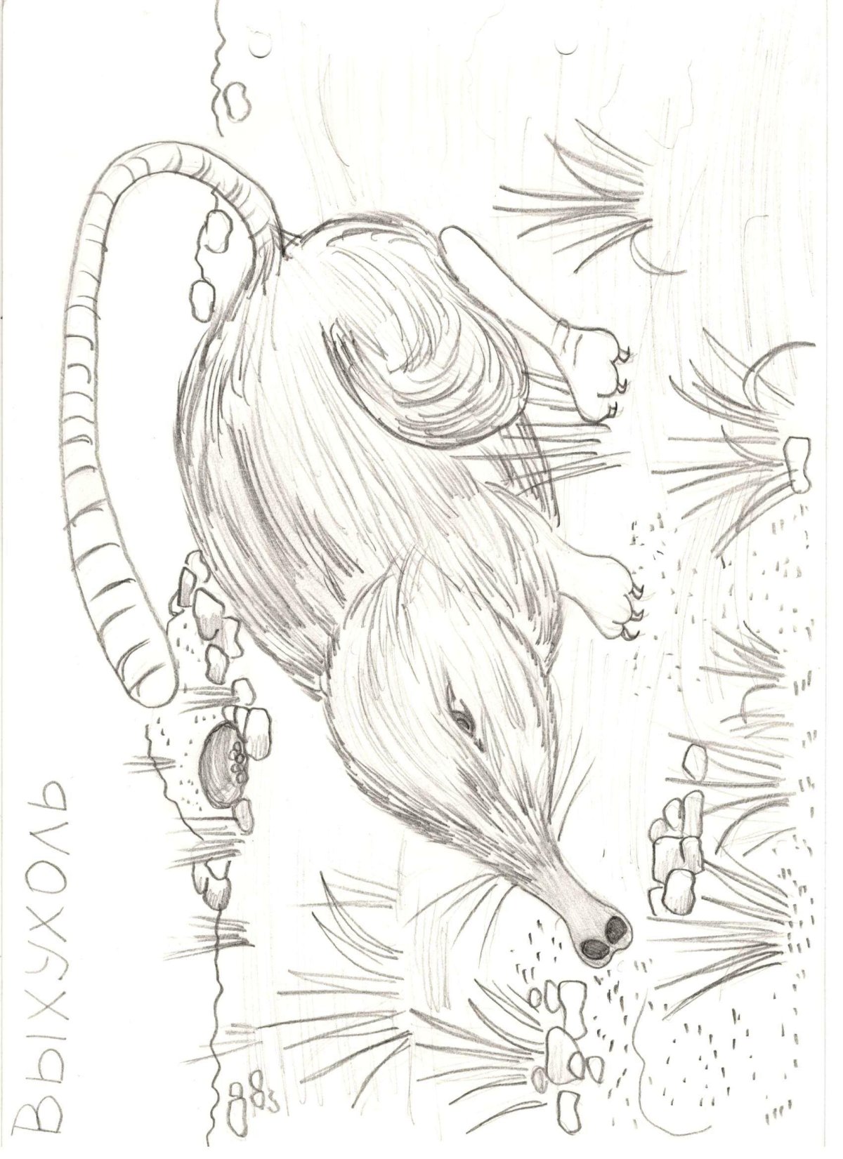 Мумий Тролль Туве Янссон Морра