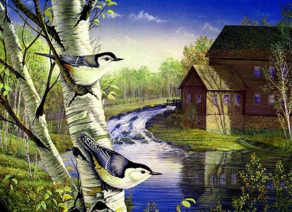 Sam Timm картины