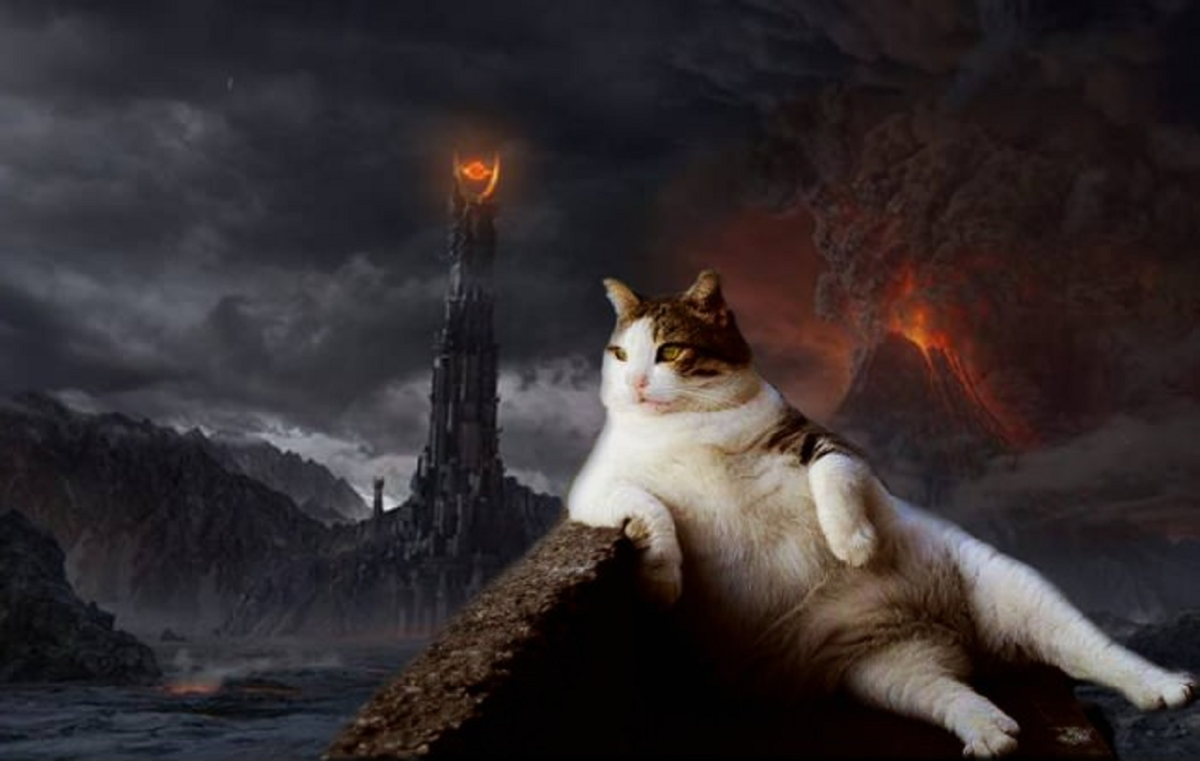 Кот Повелитель