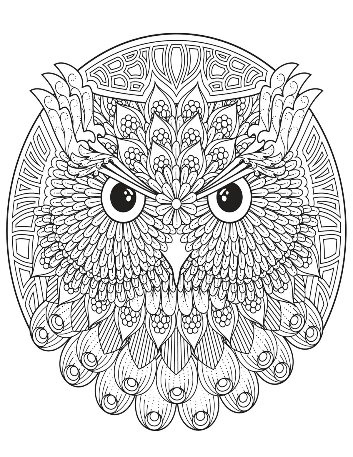 Раскраска Сова Зентангл